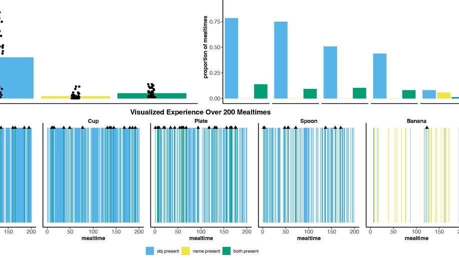 Real-world statistics at two timescales and a mechanism for infant learning of object names